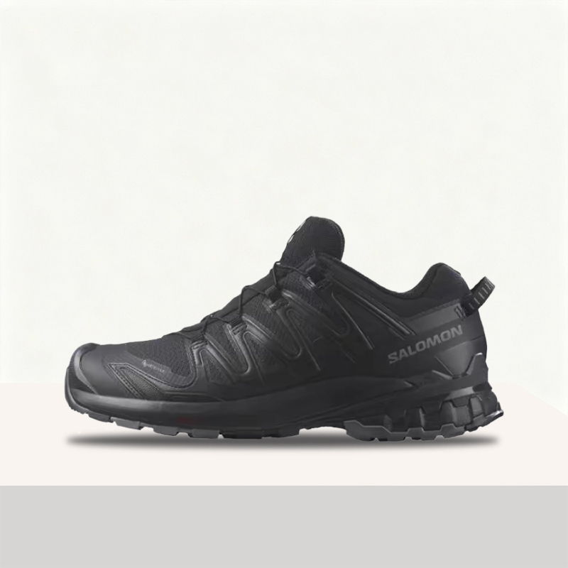 Salomon XA Pro 3D V9 GTX: Têni - Salomon Shoes Xa Pro 3D avaliação e preço